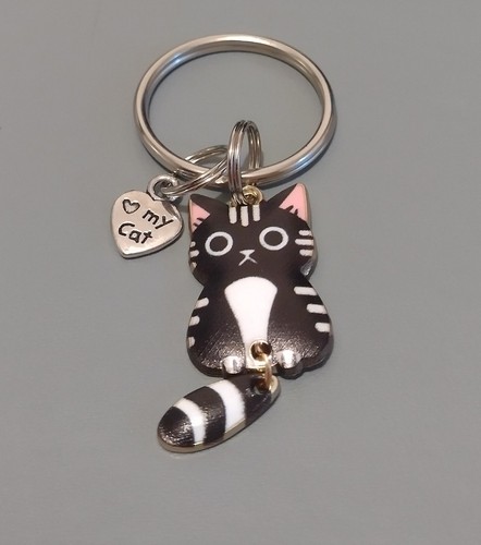 Beautiful black stripe cat - beautiful,