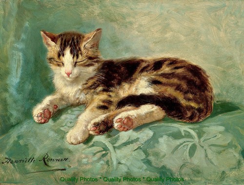 Cat nap green - nap, couch