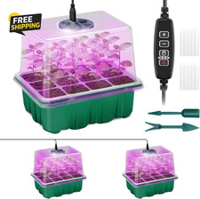 Seed Starter Tray with Plant