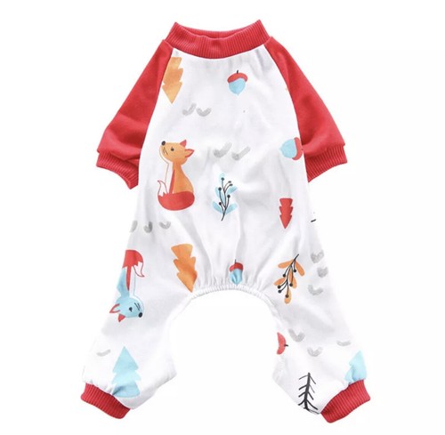 Dog pet cat puppy - dog,