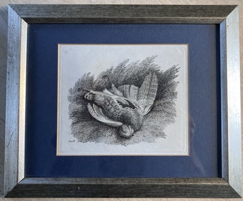 Dead partridge antique 1810 - partridge.,