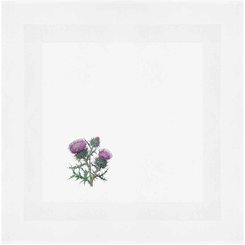 Scottish thistle napkin - thistle, /