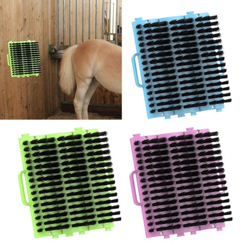 Horse grooming brush - horse,