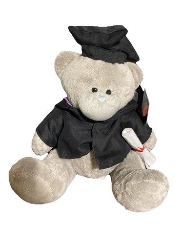 Graduation teddy bear gift - teddy,