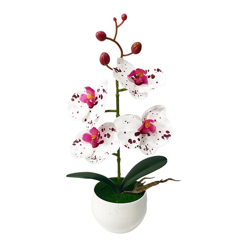 Artificial phalaenopsis orchid - artificial,
