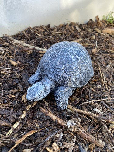 Tortoise statue grey - in,