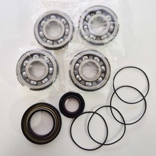 EngineWorx Crank/Main Bearing