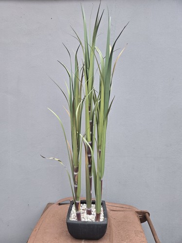 Large artificial bamboo - large,