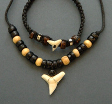 Real Chunky Shark Tooth