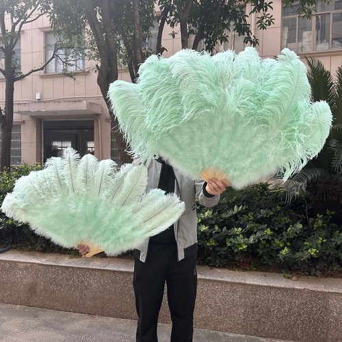 2pcs farm ostrich hand - hand, feather