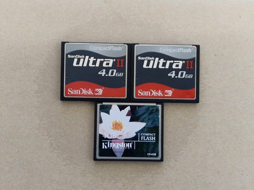 4gb sandisk kingston cf - sandisk,