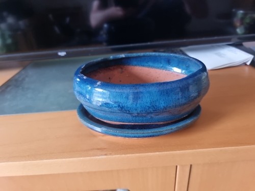 Ceramic glazed bonsai plant - glazed,