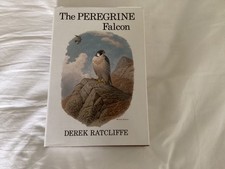 Helm Peregrine Falcon