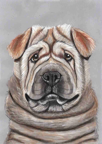 Original colour pencil artwork