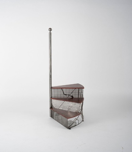 Exclusive library ladder - ,