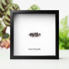 Framed Real Lunar Meteorite