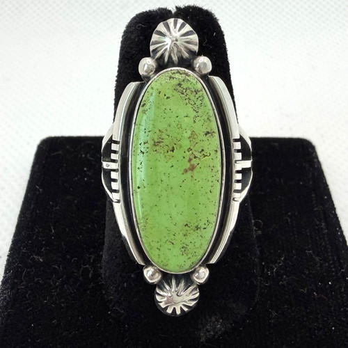 Vintage native american - vintage,