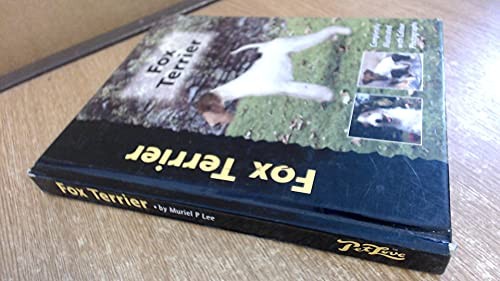 Fox terrier by - fox, (pet