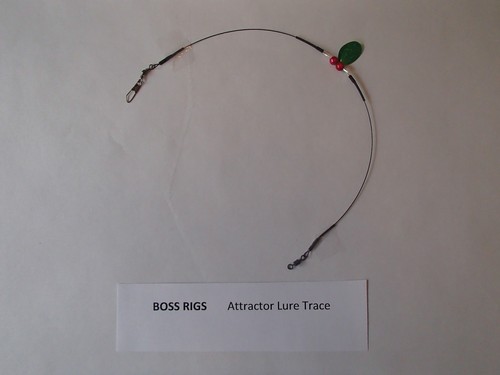 Boss pike rigs 5 x - pike, flash