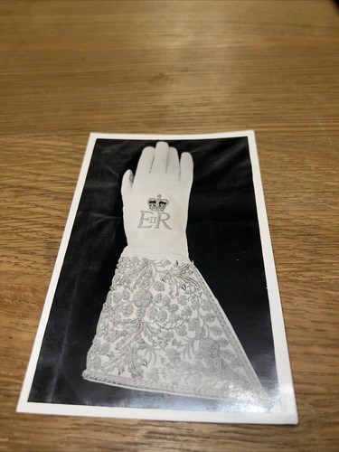 R372687 exhibition - exhibition, of