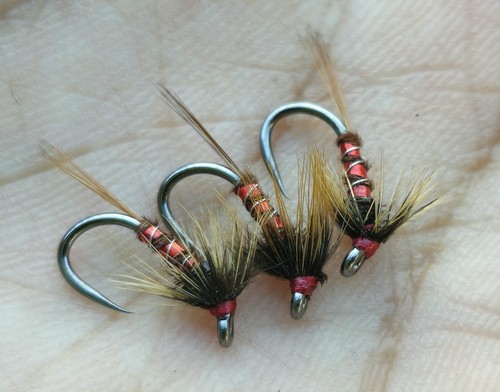 Nemo cruncher size 12 - 3,