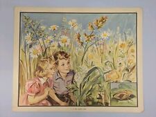 Enid Blyton Nature Plates Poster 27 A Very Queer Home Vintage Education Posters