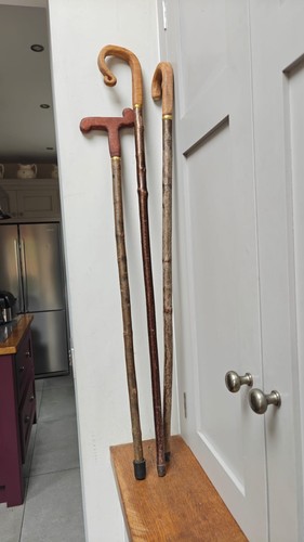 Handmade walking sticks - walking,