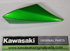 Genuine kawasaki z1000 2010 - z1000, 2010-13