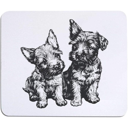 Scottish terrier puppies - 'scottish,