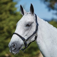 Kincade Leather/Rope