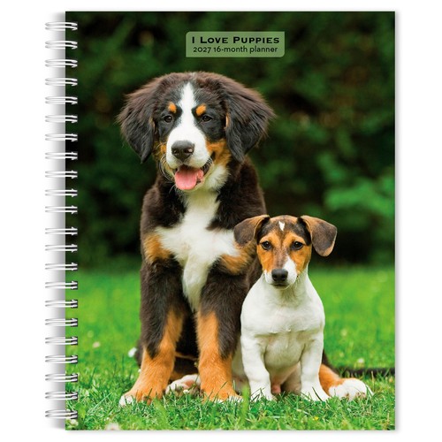 Love puppies 2027 6x7 - i, |