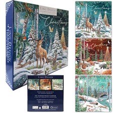Magical Woodland Festive Art Large Deluxe Box of 12 Christmas Cards in 3 Designs