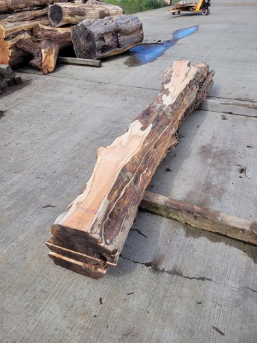 Yew log for - for, sale