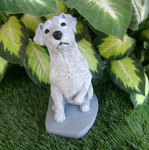 Jack russell rough coat - russell,