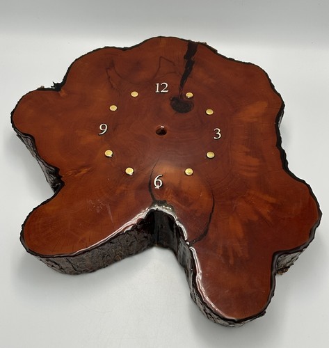 Vintage tree slice wood wall - slice,