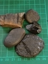 Jet From Whitby Area Natural Unpolished