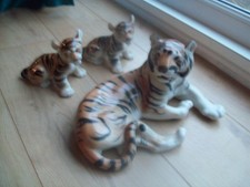 LOMONOSOV RUSSIAN  LARGE TIGER