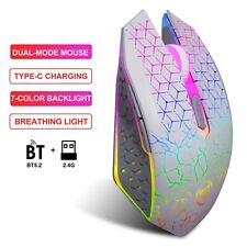 RGB Dual Wireless Gaming Mouse