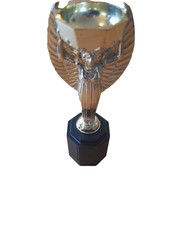Subbuteo Official Model Of