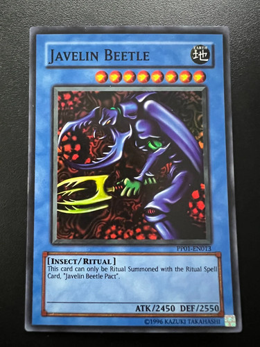 Javelin beetle pp01 en013 - beetle, pp01-en013