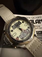 Vintage Citizen Promaster