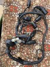  Wiring Loom Harness Fits Sinnis Apache, Pulse/Lexmoto Adrenaline EFI fuel 
