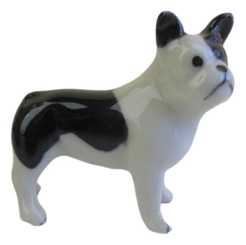French bulldog miniature - french,