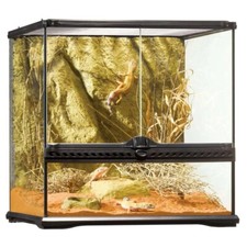 Exo Terra Terrarium Starter Kit