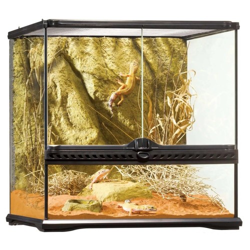 Exo terra terrarium starter - terra,