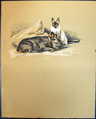 Old vintage print lucy - vintage,