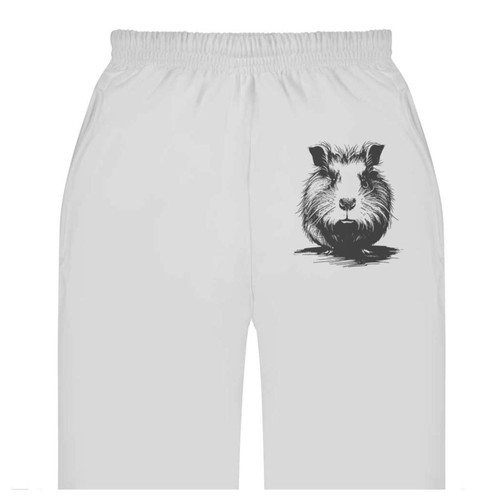 Serious guinea pig adult - 'serious,