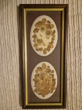 Vintage Pressed Flowers in Frame,  Joanna Sheen Design, 11" x 5"
