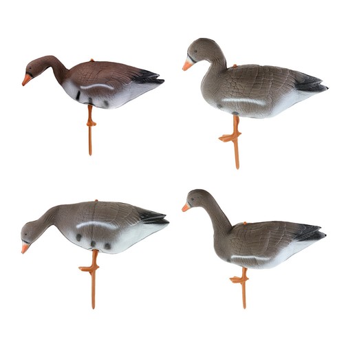 Lifelike full body goose - 3d,