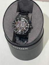 Citizen Eco Drive Perpetual